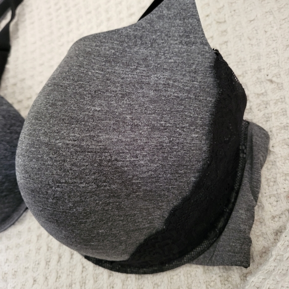 Penningtons Padded T-Shirt Bra with Lace details - Picture 3 of 11